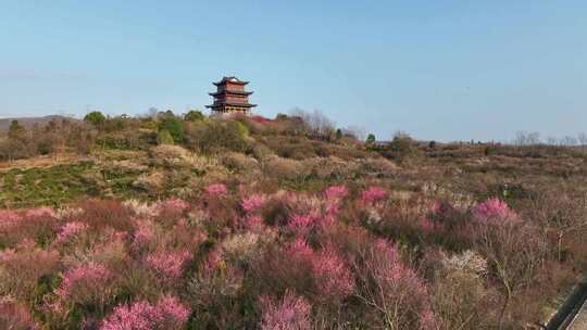 山林中的古建筑楼阁风景