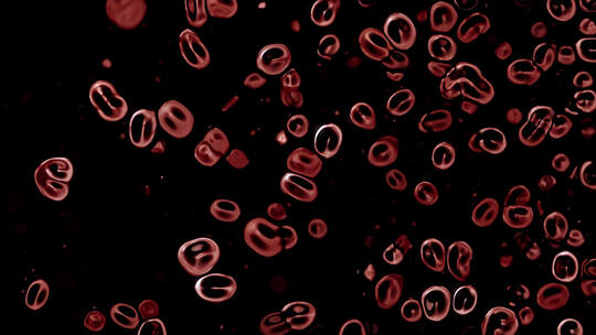红细胞流动