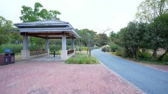 武汉光谷三路湿地公园风景