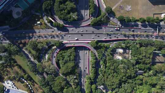 广州三角梅盛开的道路立交航拍