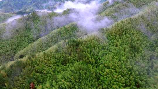实拍雨后森林云雾缭绕 绿水青山 高山云海