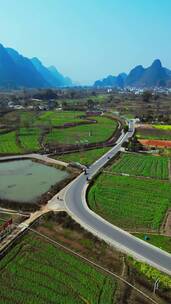 春季竖屏航拍桂林遇龙河风景区