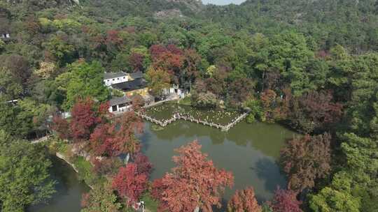 苏州天平山秋色秋韵（航拍16:9原片素材）