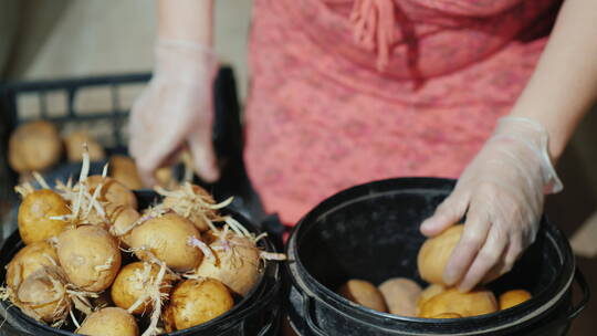 女人去除豆芽