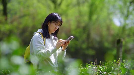 年轻阳光活力女孩春天户外踏青游玩刷手机