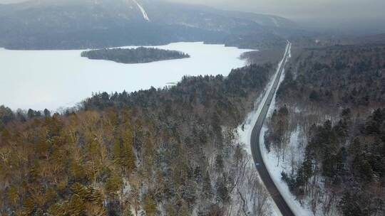 冬季日本北海道雪原森林公路风光