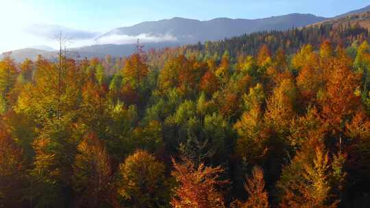 秋日层林尽染的秋天风光