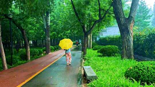 小雨天打伞走在公园路上的人们