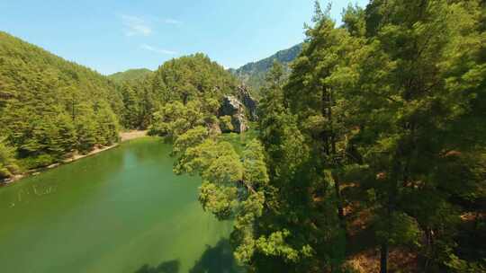 FPV无人机拍摄树木之间的河流。土耳其卡拉考伦大坝。4K。