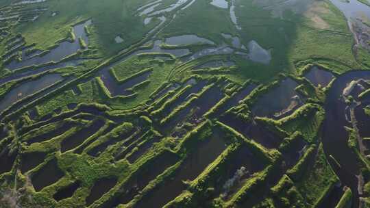 黑龙江湿地保护区航拍