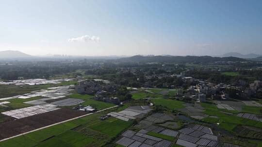 夏季的乡村