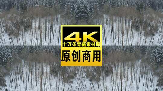 青海互助龙王山树林雪景航拍视频高清在线视频素材下载