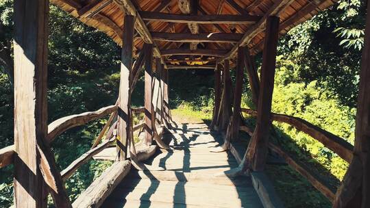 观点走在旧木桥上