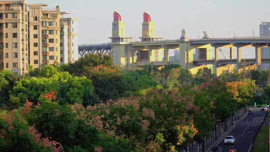 南京长江大桥周边道路秋色风景合集