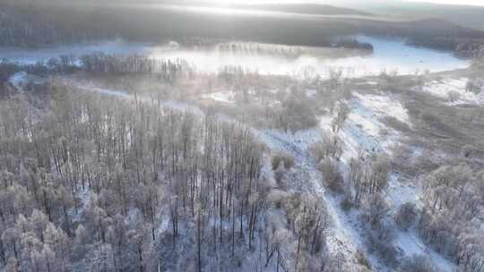 航拍林海雪原雪林风景