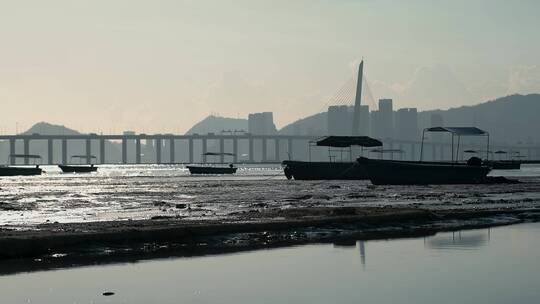 香港瞭望深圳视频深圳湾