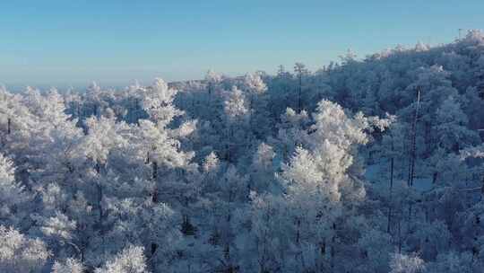 高山雾凇视频素材模板下载