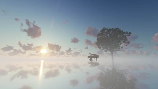 钢琴树湖面镜面朝阳