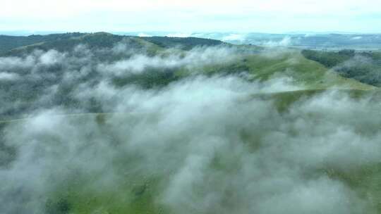 高山森林湿地云海云雾