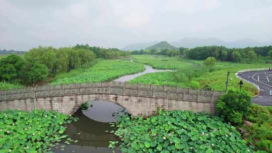 杭州湘湖十里荷塘风景航拍