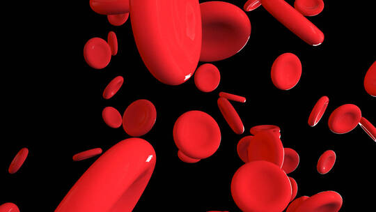 红细胞流动