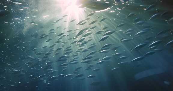 海洋海浪大海海水