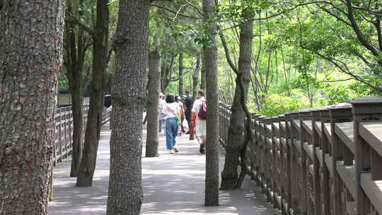 徒步风景区人行步道