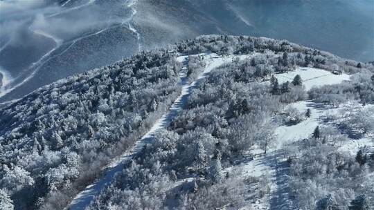 高山雾凇