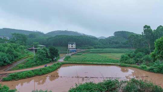 广西南宁乡村雨后水田积水延时风光