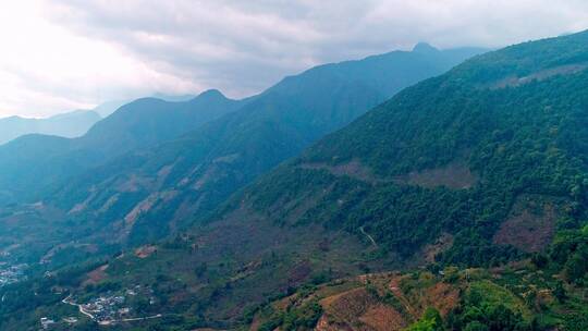 高黎贡山百花岭景区（摄影爱好者打鸟胜地）