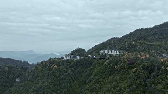 高清实拍眉山洪雅瓦屋山森林