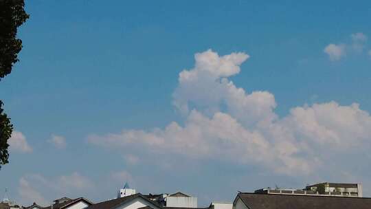 夏日风景蓝天白云风吹树枝实拍