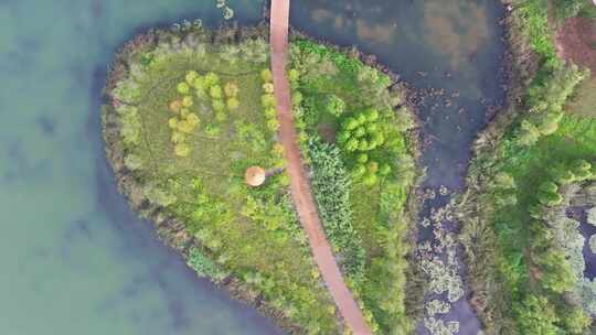 晴天 航拍城市公园湖泊小岛森林 骑行道