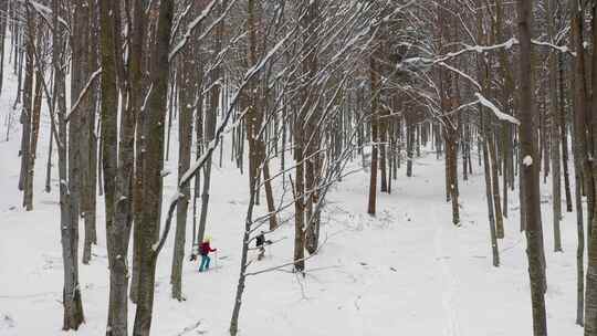 滑板和滑雪旅游概念。朋友们在山林树林里排队上山