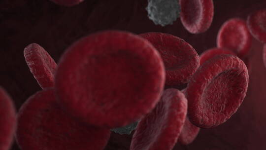 病毒 细胞 细菌 红细胞 癌症 癌细胞