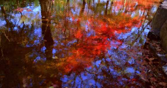 红枫倒映在水里唯美秋天