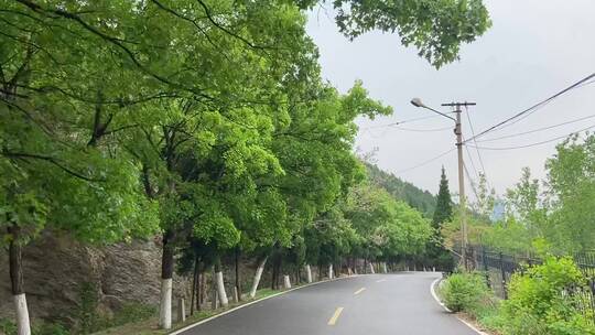 济南千佛山西路环山路，树木郁郁葱葱