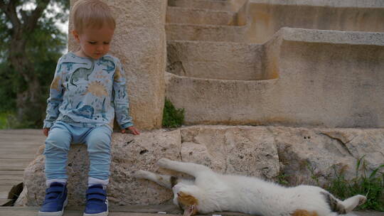 小男孩坐在石头上看着猫咪