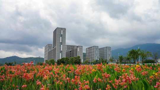 深圳坪山区吓山人工湿地延时