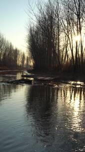 4K竖拍-北方冬天暖阳下的河流潺潺流水