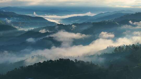 云雾缭绕的茶山