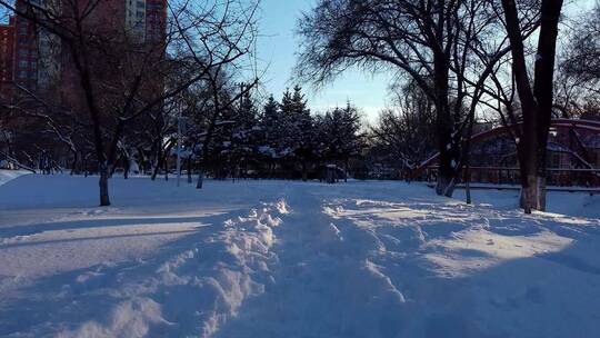 冬天公园老树小河雪景