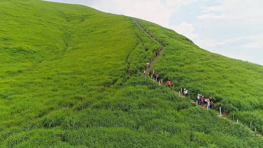 武功山高山草甸