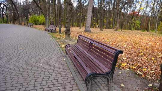 公园小路上的长凳