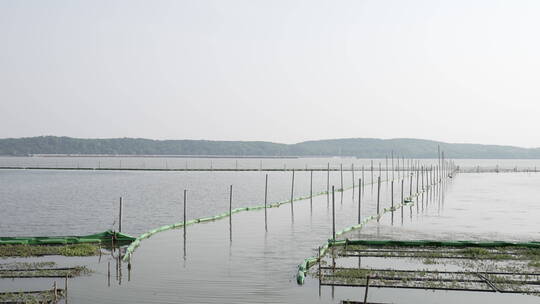 武汉洪山湖滨公园休闲地区