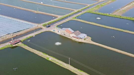 浙江绍兴上虞大型虾苗场,鱼苗场