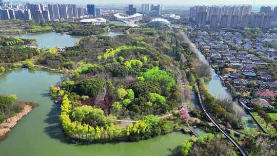 航拍苏州昆山市城市生态森林公园