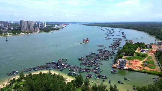 航拍海南省文昌市东郊椰林椰树风景