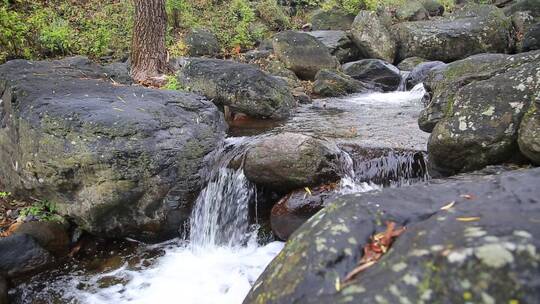 森林山泉溪水河流