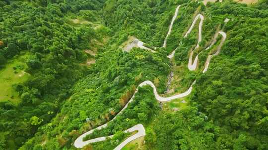 重庆五里坡国家级自然保护区葱坪全景